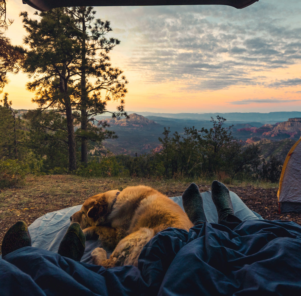 Two people car camping in the Tesla Model Y with a Golden Retriever looking at a beautiful mountain scenery.